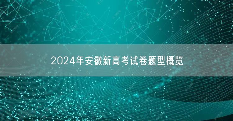 2024年安徽新高考试卷题型概览