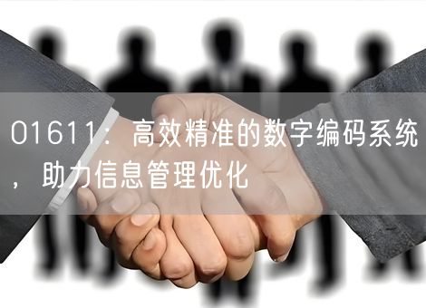 01611：高效精准的数字编码系统，助力信息管理优化