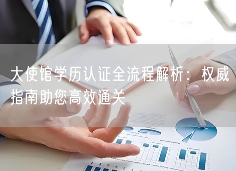 大使馆学历认证全流程解析：权威指南助您高效通关