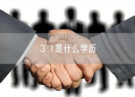 3 1是什么学历