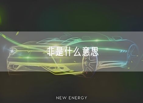 非是什么意思