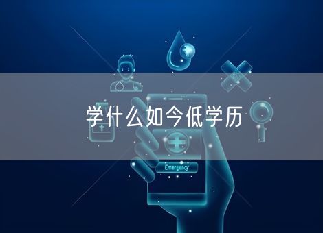 学什么如今低学历