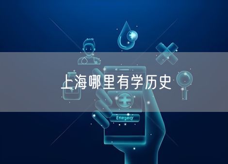 上海哪里有学历史