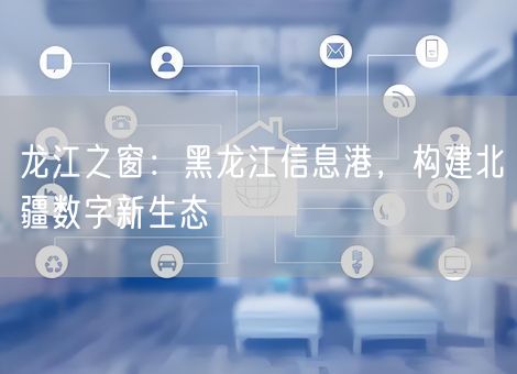 龙江之窗：黑龙江信息港，构建北疆数字新生态