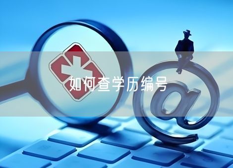如何查学历编号