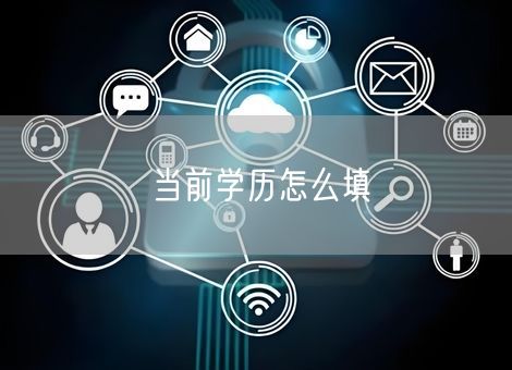 当前学历怎么填