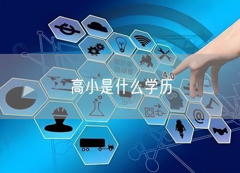 高小是什么学历