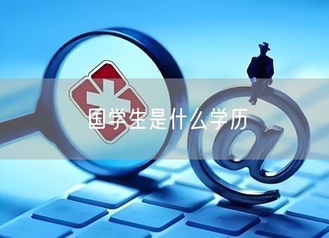 国学生是什么学历