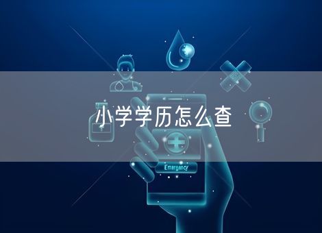 小学学历怎么查